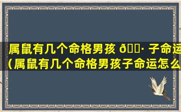 属鼠有几个命格男孩 🌷 子命运（属鼠有几个命格男孩子命运怎么 🐬 样）